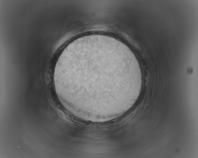 X0000092111400200710101133