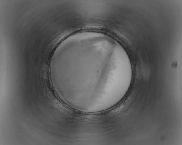 X0000092111401200710101133