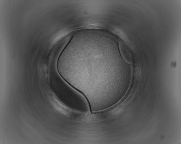 X0000092111402200710101133