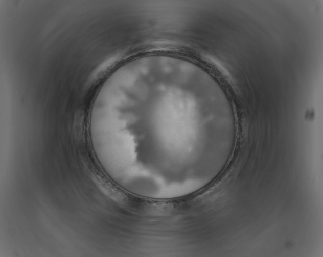 X0000092111403200710101133