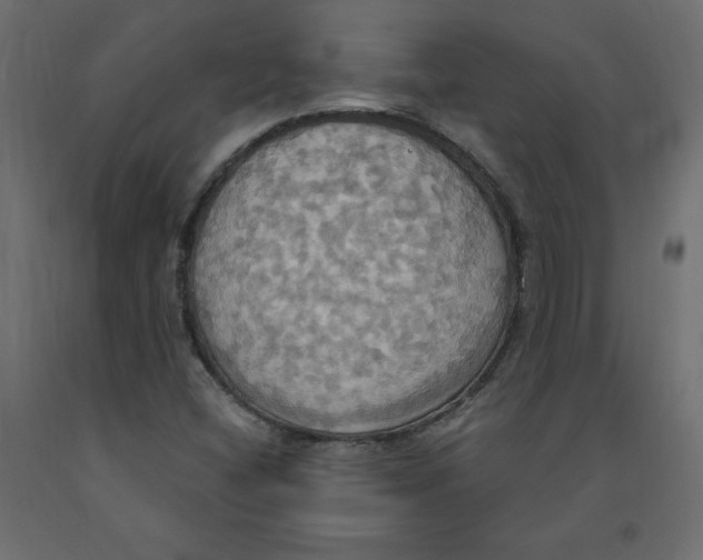 X0000092111404200710101133