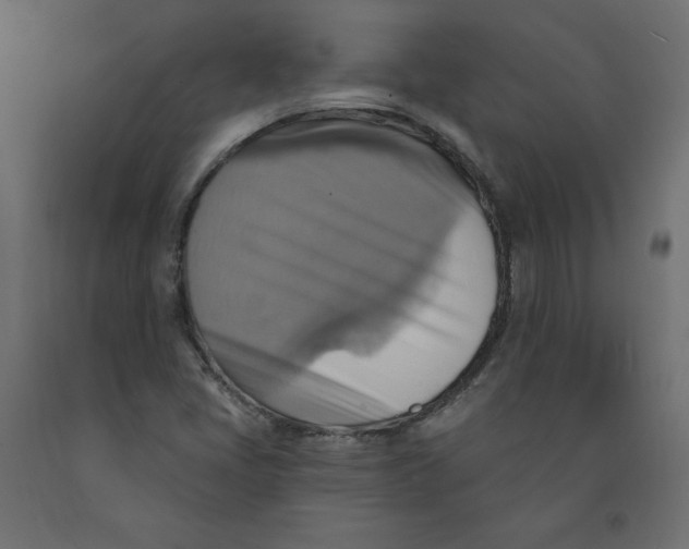 X0000092111405200710101133