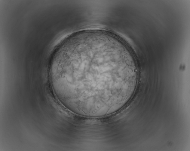 X0000092111407200710101133