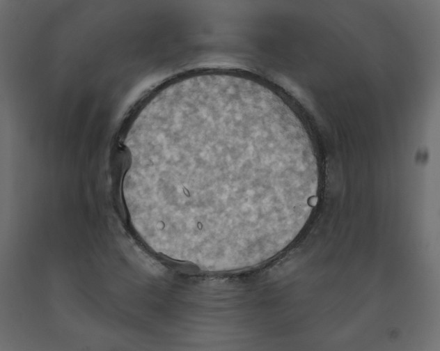 X0000092111408200710101133