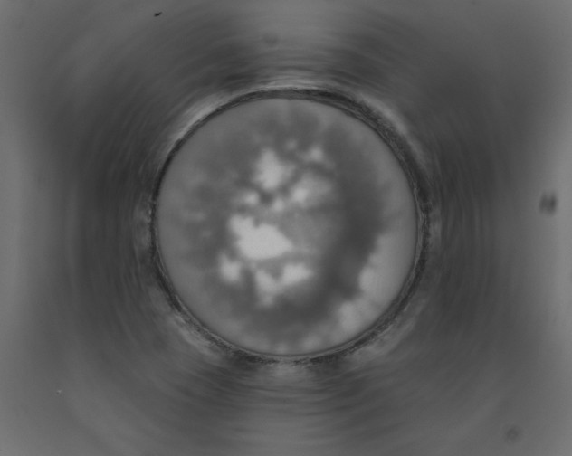 X0000092111409200710101133