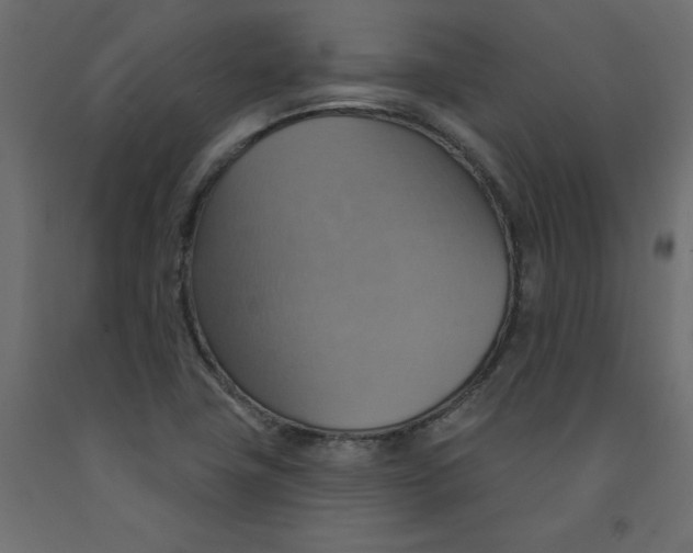 X0000092111411200710101133