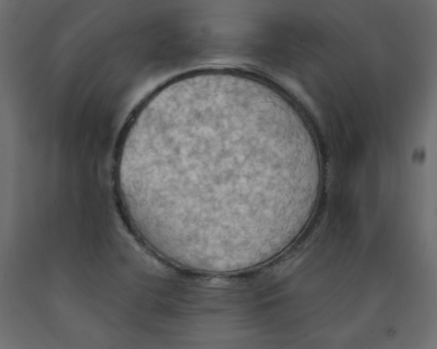 X0000092111412200710101133