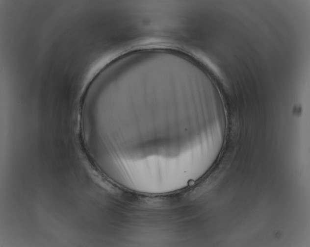 X0000092111413200710101133