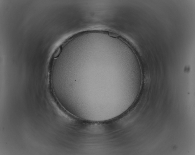 X0000092111414200710101133