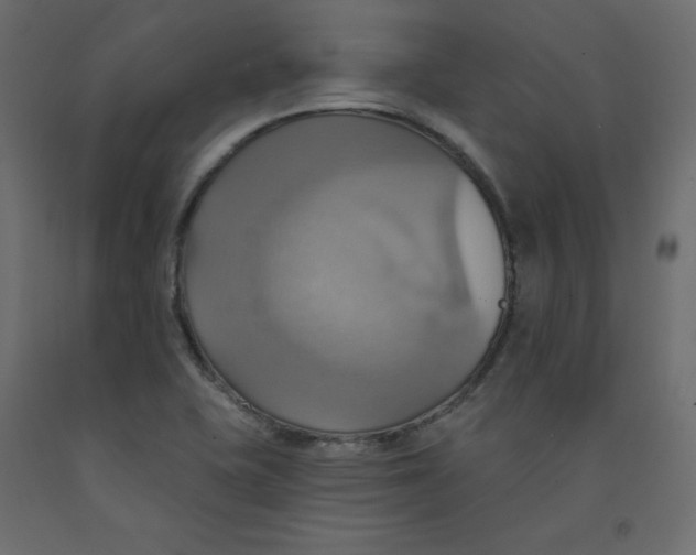 X0000092111415200710101133