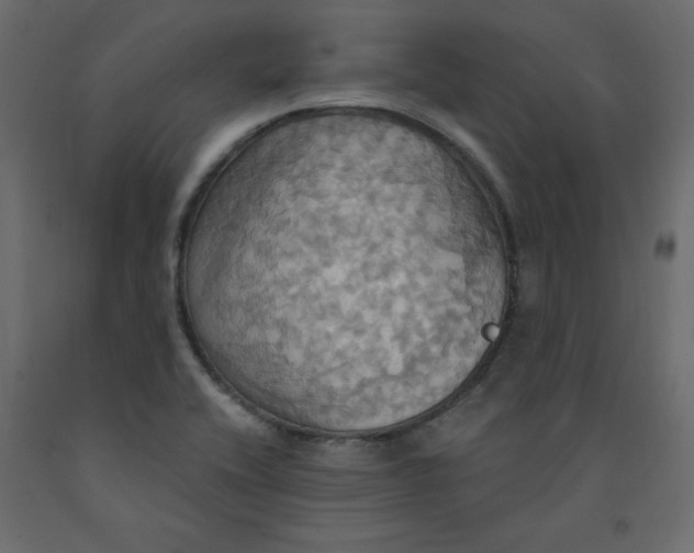 X0000092111416200710101133