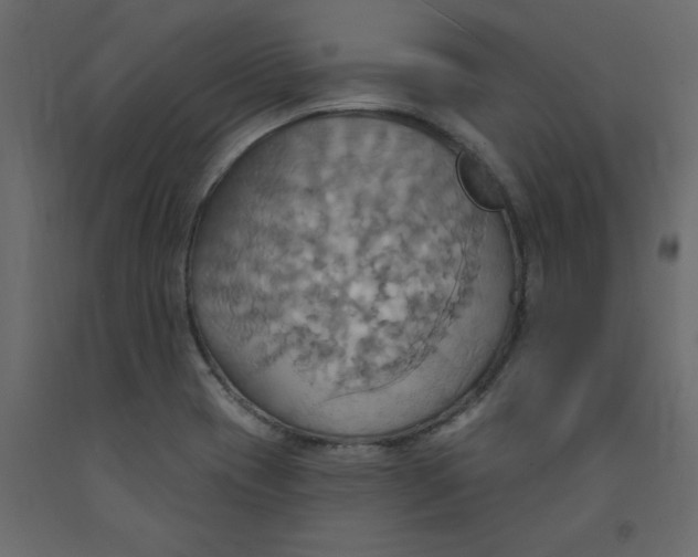 X0000092111417200710101133