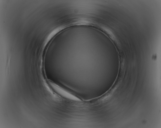 X0000092111418200710101133