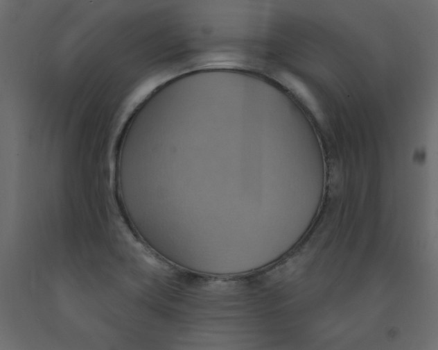 X0000092111419200710101133