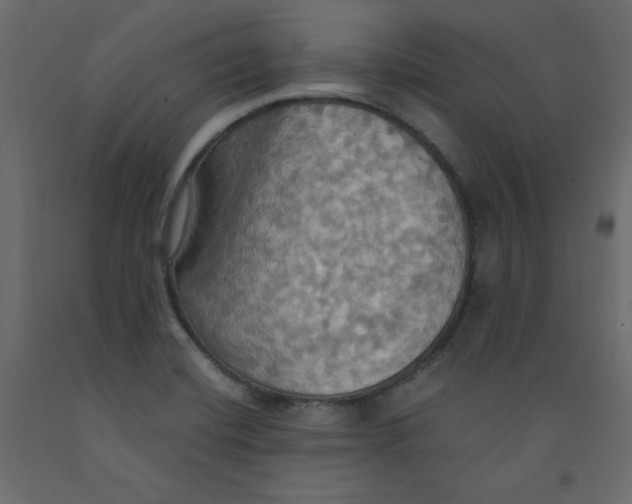 X0000092111420200710101133