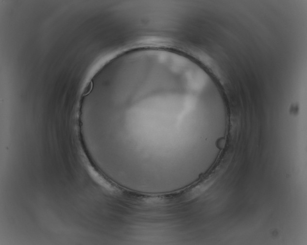 X0000092111421200710101133