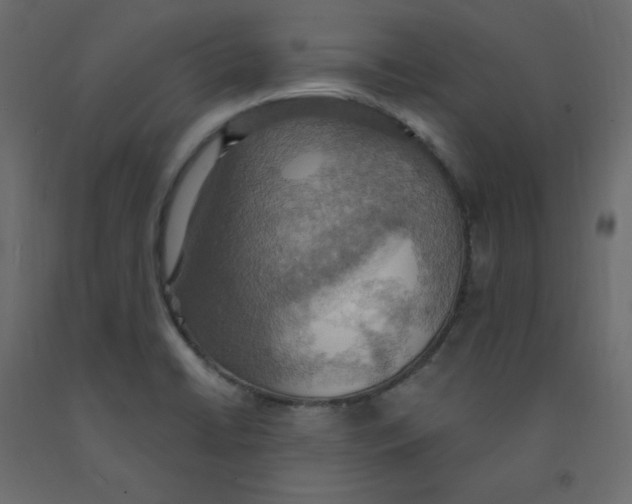 X0000092111422200710101133