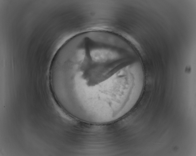 X0000092111423200710101133