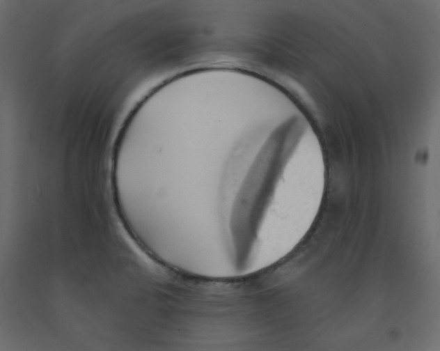 X0000092111424200710101133