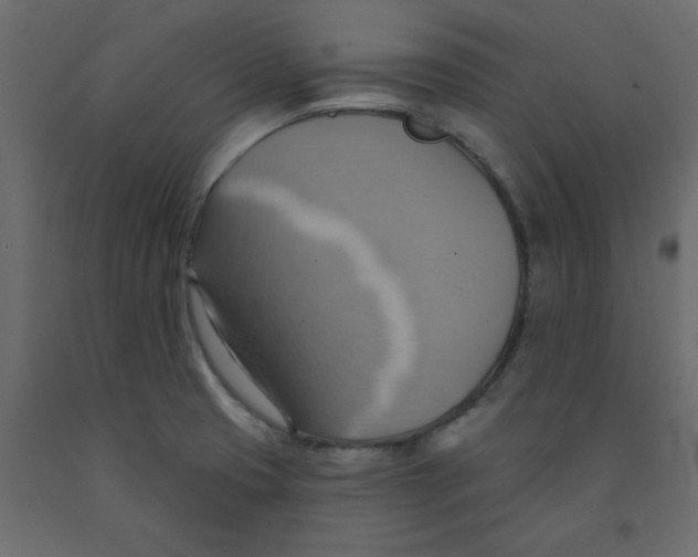 X0000092111425200710101133