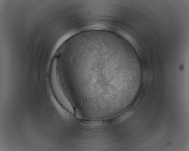 X0000092111426200710101133