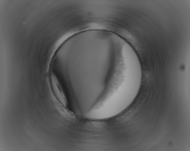 X0000092111427200710101133