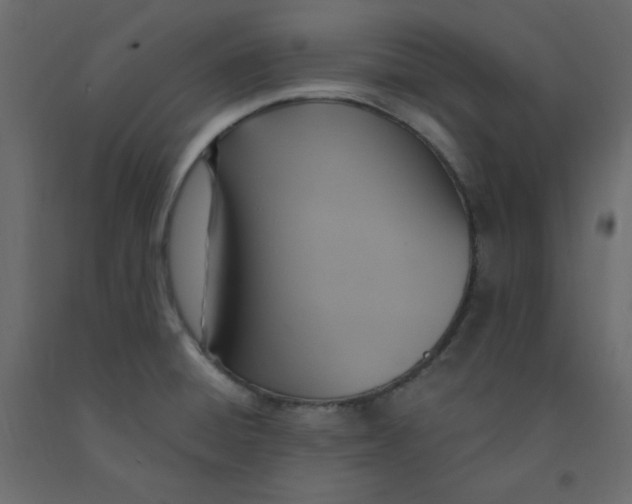 X0000092111428200710101133