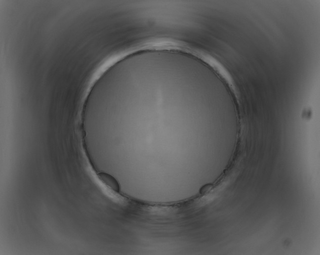 X0000092111429200710101133