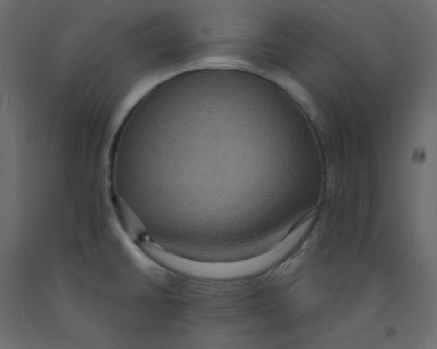 X0000092111430200710101134