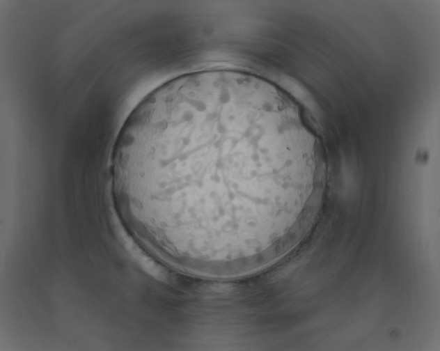 X0000092111431200710101134