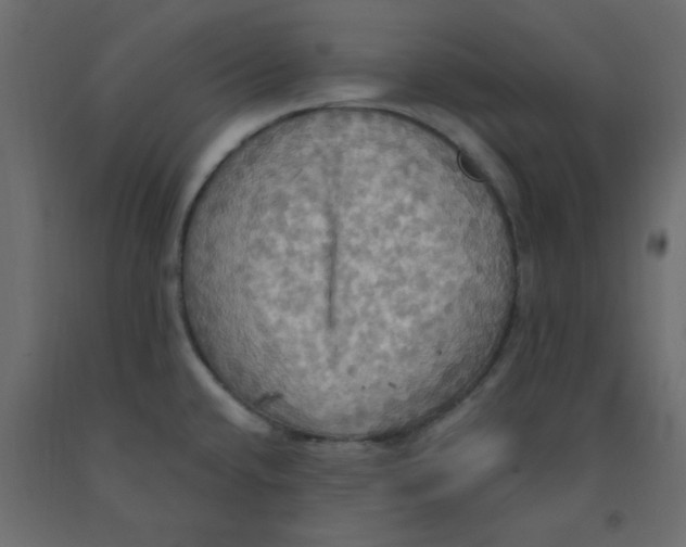 X0000092111432200710101134