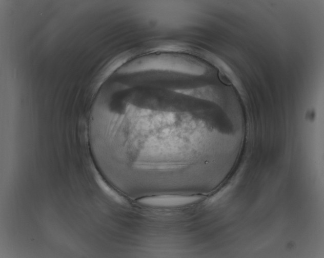 X0000092111433200710101134