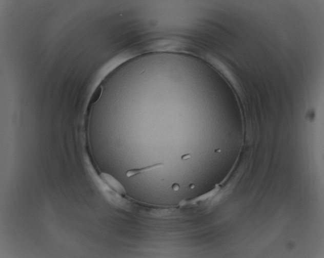 X0000092111434200710101134