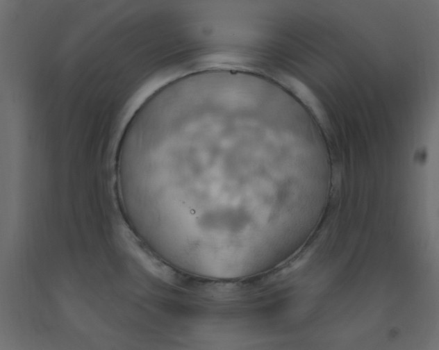 X0000092111435200710101134