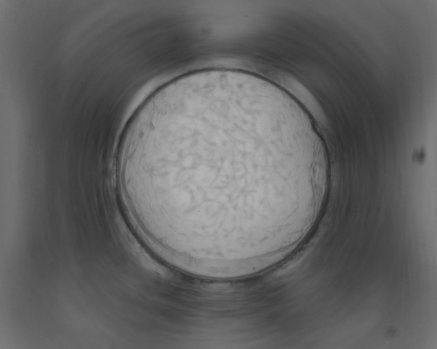 X0000092111436200710101134