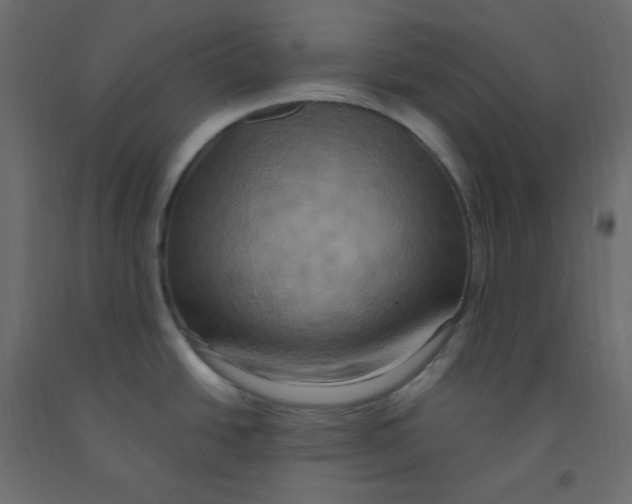 X0000092111438200710101134