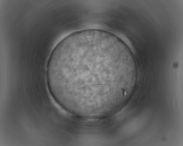 X0000092111439200710101134