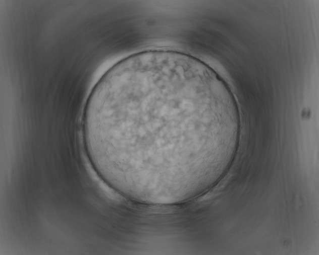 X0000092111440200710101134