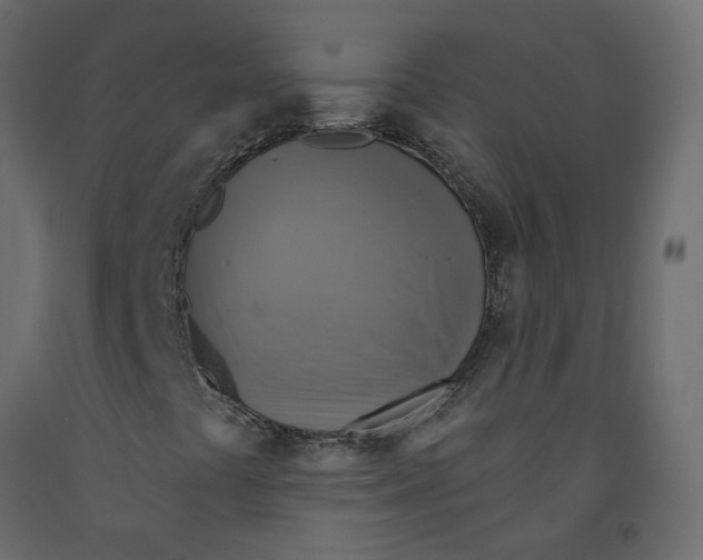 X0000092111441200710101133