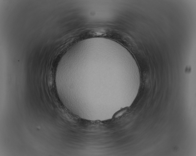 X0000092111442200710101133