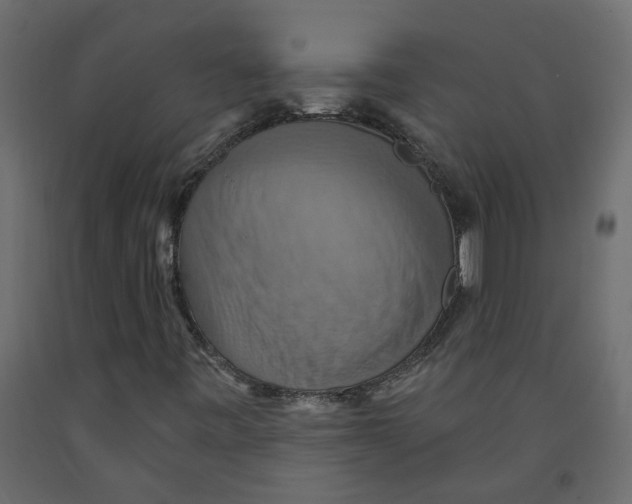 X0000092111443200710101133