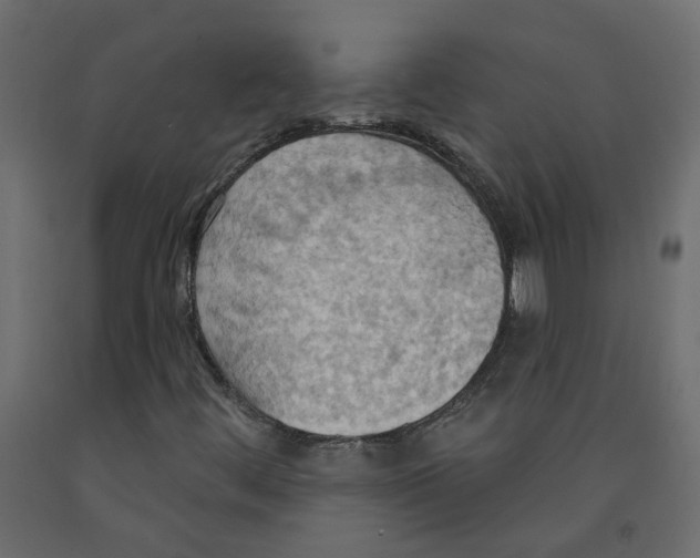 X0000092111444200710101133