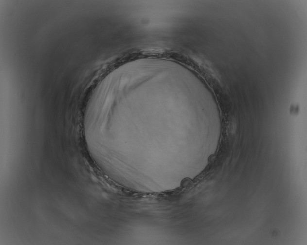 X0000092111445200710101133