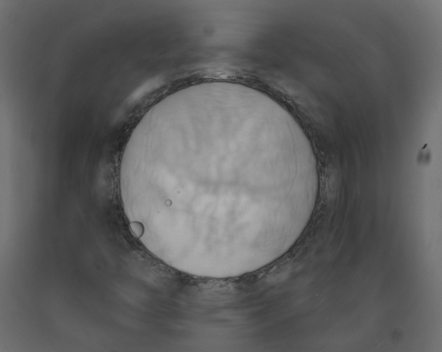 X0000092111446200710101133