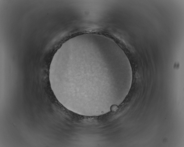 X0000092111447200710101133