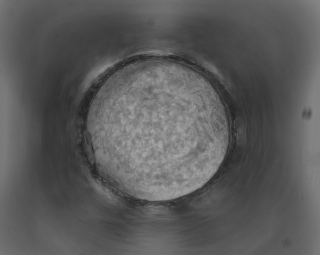 X0000092111448200710101133