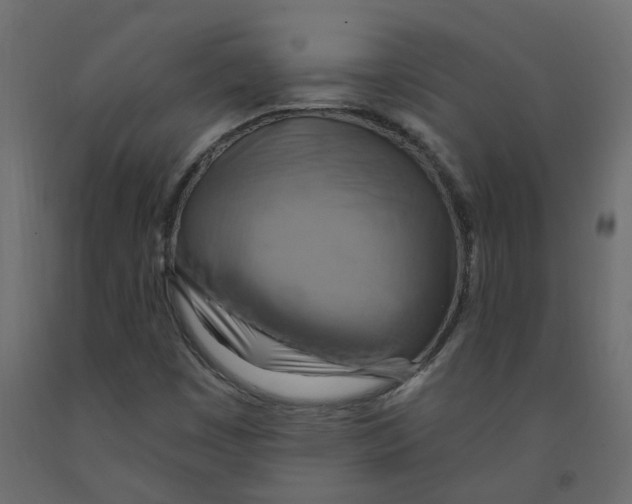 X0000092111449200710101133