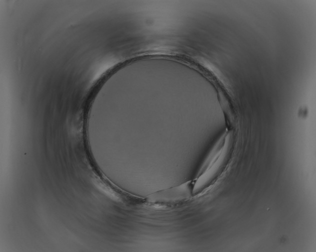 X0000092111450200710101133