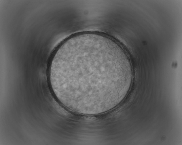 X0000092111452200710101133