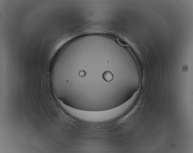 X0000092111453200710101133